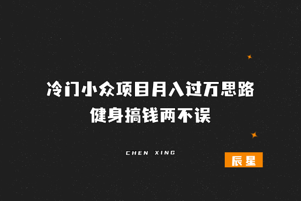 冷门小众项目月入过万思路，健身搞钱两不误-辰星