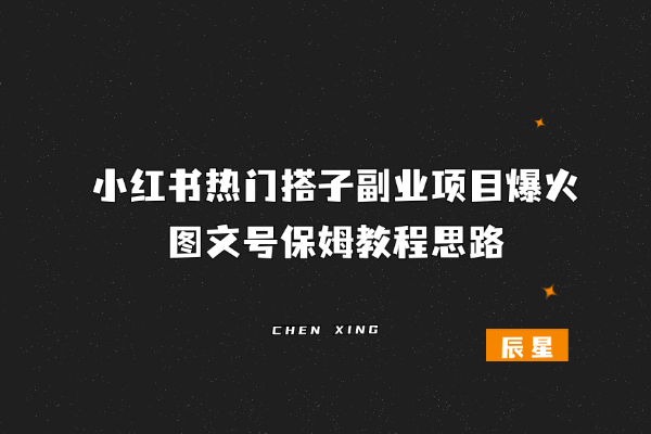 小红书热门搭子副业项目爆火，图文号保姆教程思路-辰星