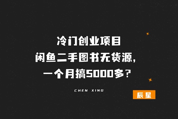 冷门创业项目：闲鱼二手图书无货源，一个月搞5000多？-辰星